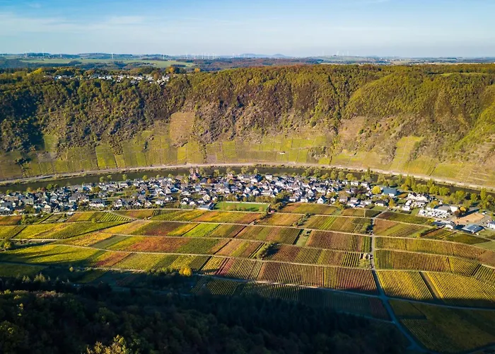 Ferienweingut Gansen Hochgenuss 2